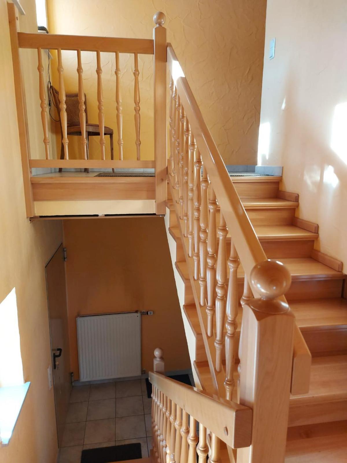Urlaub Mit Hund Auf Dem Bauernhof Hofswald Apartment Euscheid Exterior photo